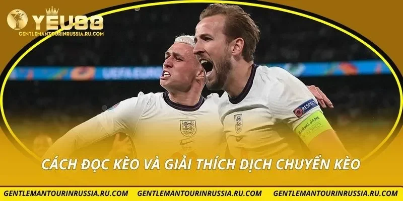 Cách đọc kèo và giải thích dịch chuyển kèo