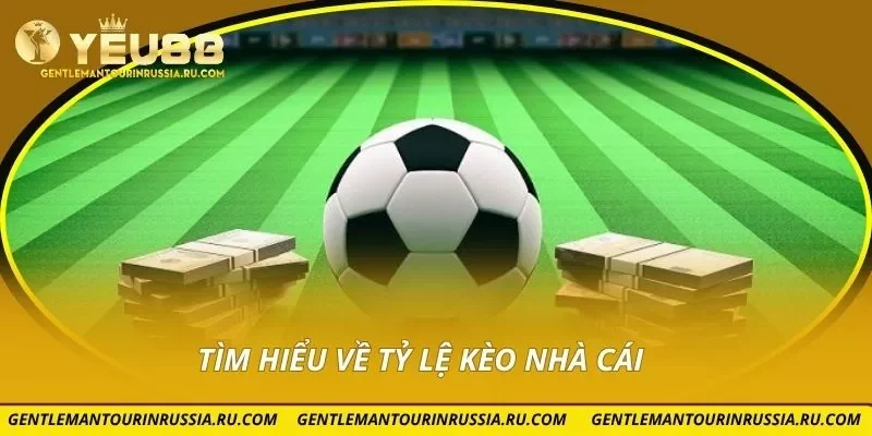 Tìm hiểu về tỷ lệ kèo nhà cái